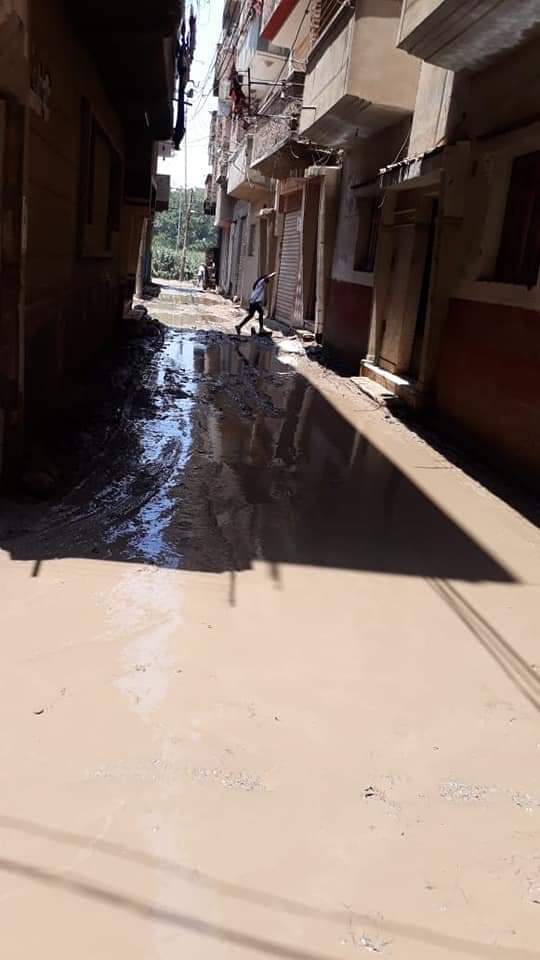 طفح مياه الصرف فى شوارع قرية عياش بالمحلة (6)