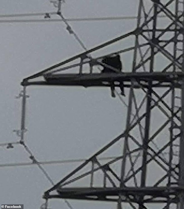 الشرطة البريطانية تتفاوض مع سكير صعد فوق عمود كهرباء  (2)