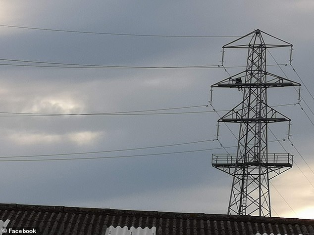 الشرطة البريطانية تتفاوض مع سكير صعد فوق عمود كهرباء  (1)