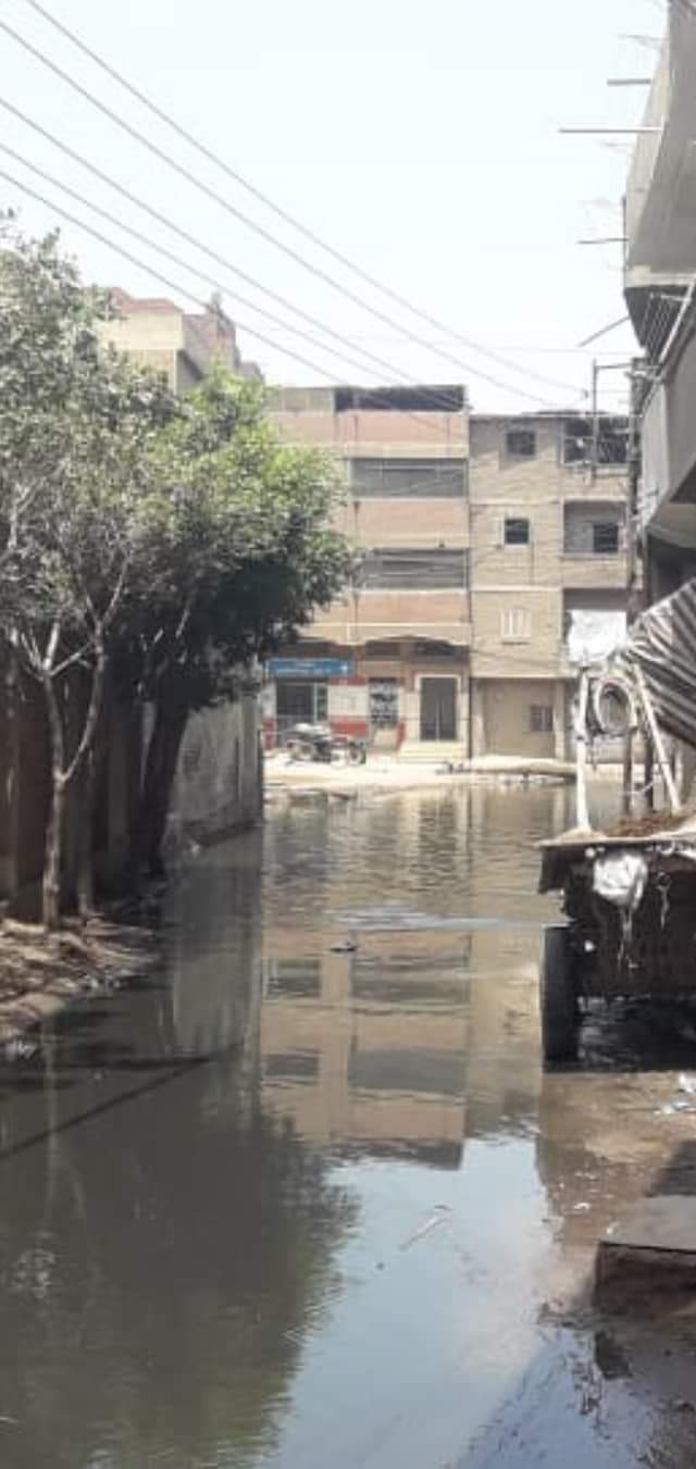 طفح مياه الصرف فى شوارع قرية عياش بالمحلة (2)