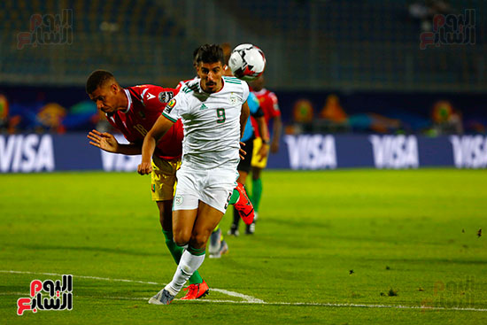 الجزائر وغينيا 0 (29)