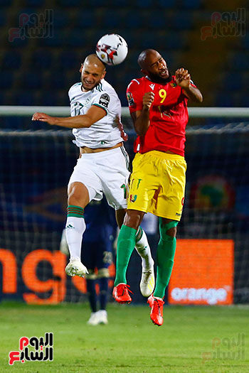 الجزائر وغينيا 0 (35)