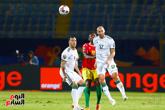 الجزائر وغينيا 0 (12)