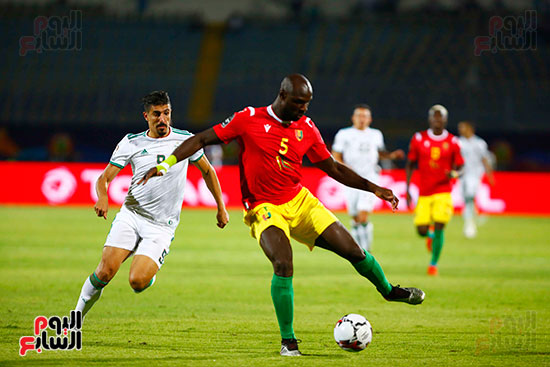 الجزائر وغينيا 0 (28)