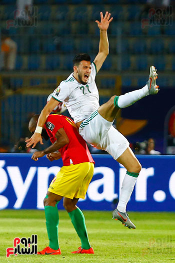 الجزائر وغينيا 0 (36)