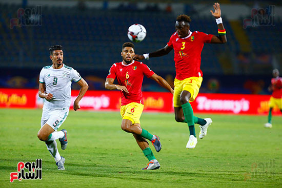 الجزائر وغينيا 0 (11)