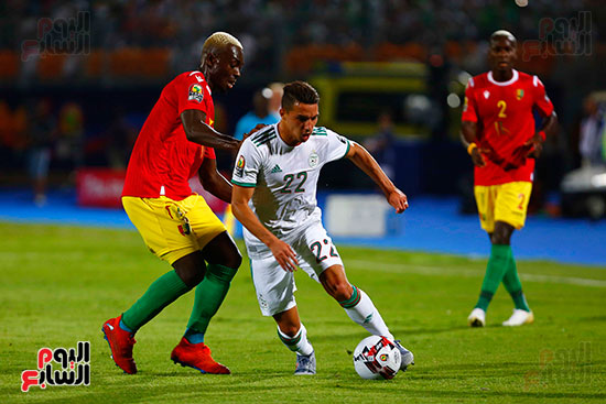 الجزائر وغينيا 0 (34)