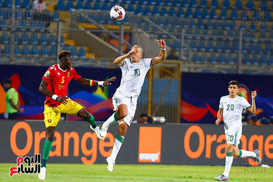 الجزائر وغينيا 0 (7)