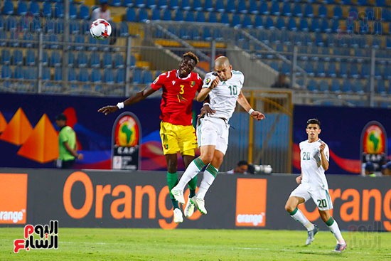 الجزائر وغينيا 0 (8)