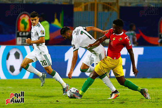 الجزائر وغينيا 0 (13)