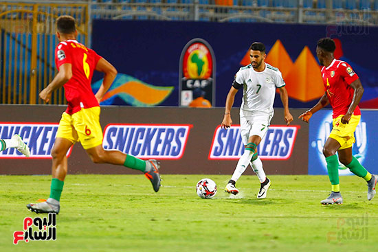 الجزائر وغينيا 0 (14)
