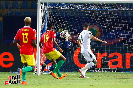الجزائر وغينيا 0 (3)