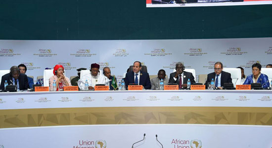  الرئيس عبد الفتاح السيسى خلال أعمال قمة النيجر (11)