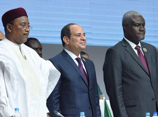  الرئيس عبد الفتاح السيسى خلال أعمال قمة النيجر (12)