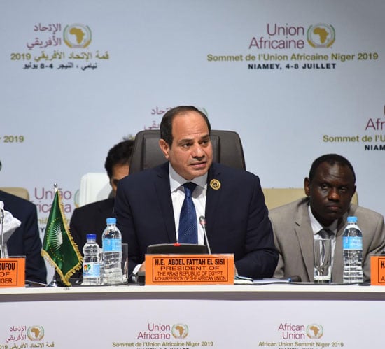  الرئيس عبد الفتاح السيسى خلال أعمال قمة النيجر (6)