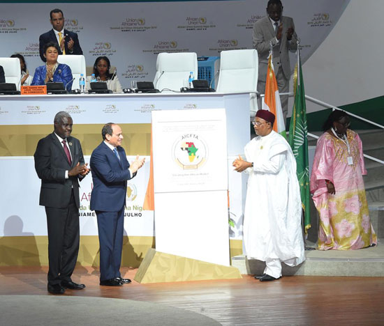  الرئيس عبد الفتاح السيسى خلال أعمال قمة النيجر (2)