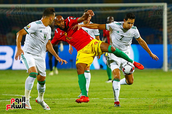 مباراة الجزائر وغينيا (6)