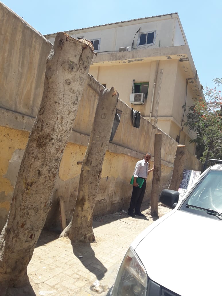 قطع الأشجار أمام مستشفى العامرية العام (1)