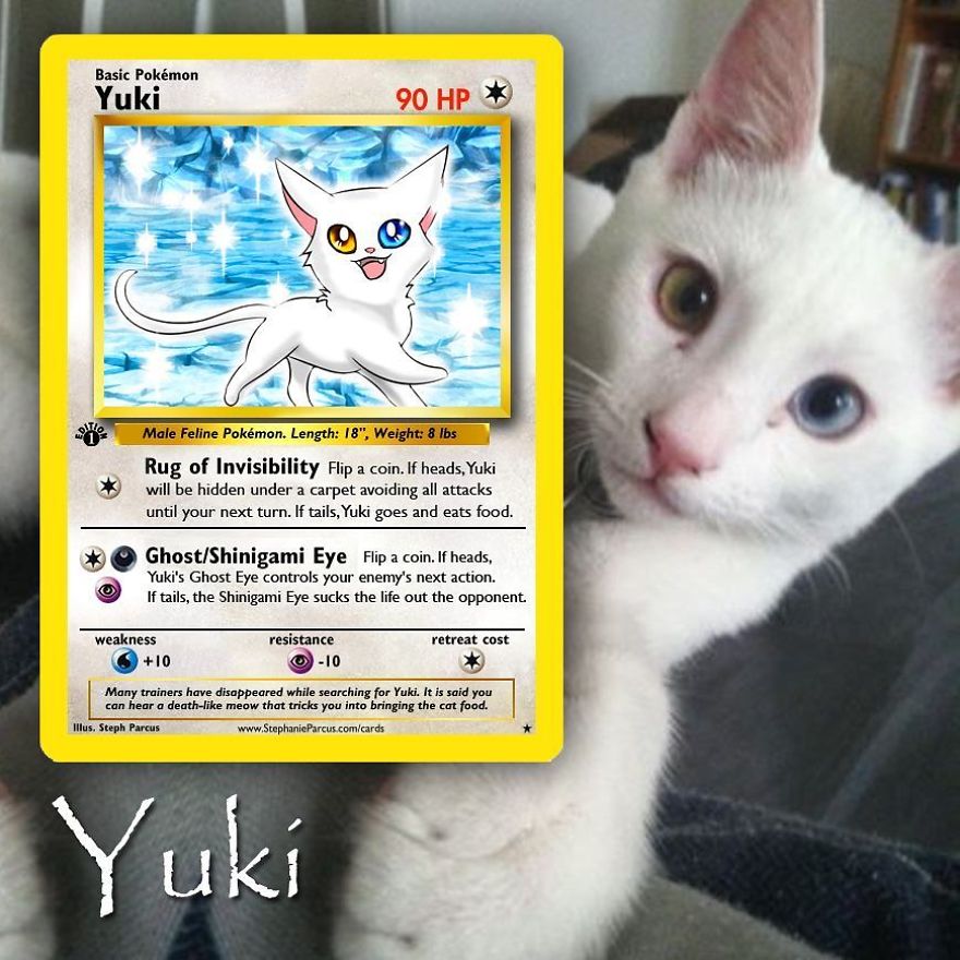Pokémon Cards 4