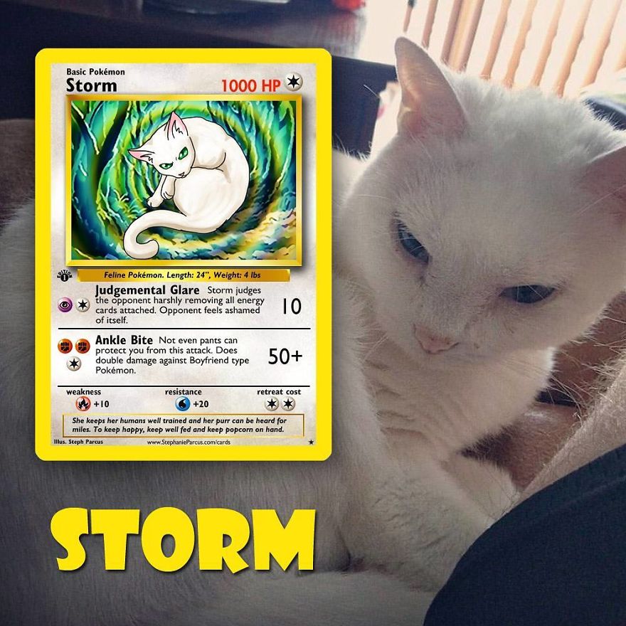 Pokémon Cards 7