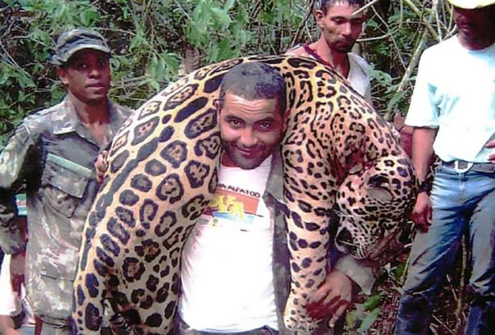 السلطات تقبض على العصابة