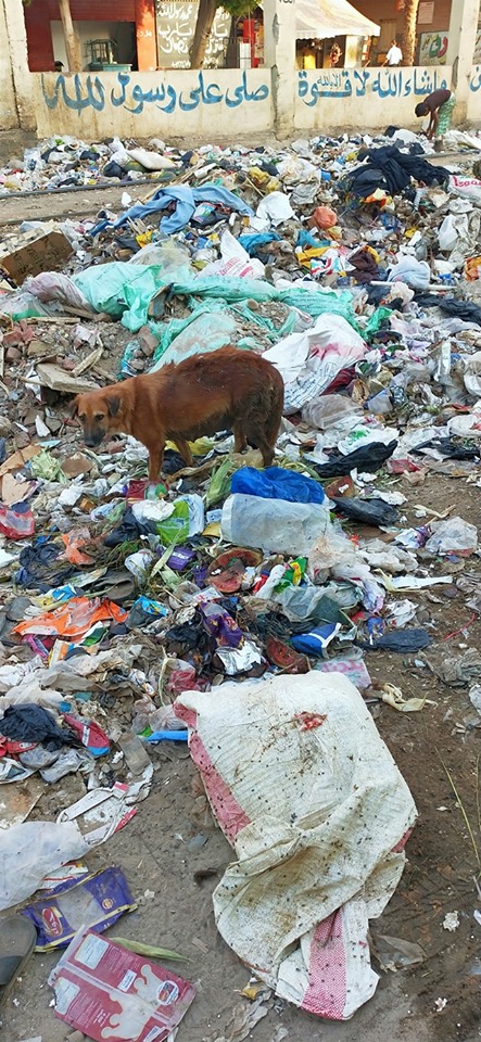 تراكم القمامة في مداخل القرية (2)