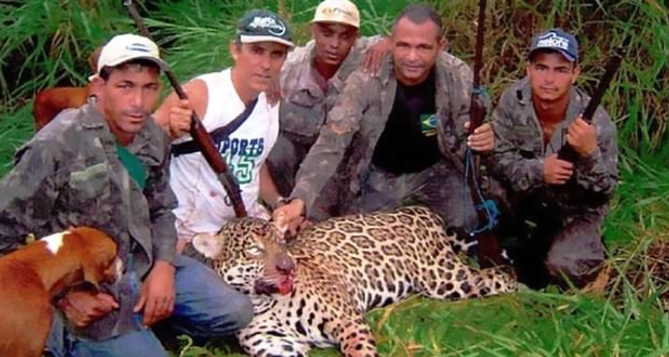 قتل جائر لحيوانات مهددة بالانقراض