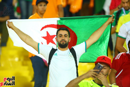 جماهير الجزائر (4)