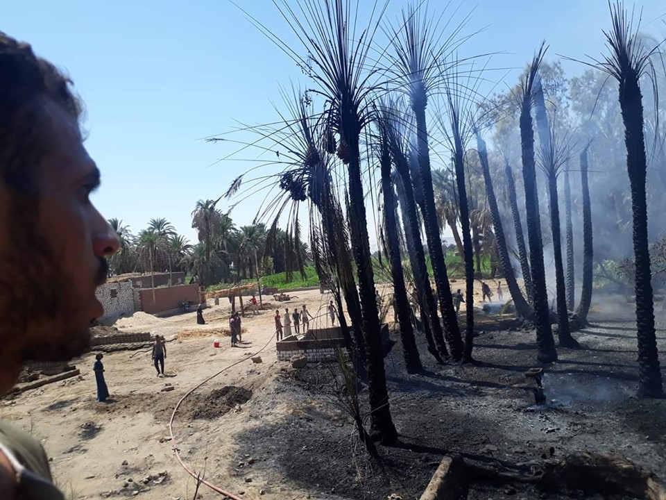 نفوق عشرات رؤوس الماشية وتفحم محتويات 10 منازل في حريق بنجع الفتاتيح شرقي الأقصر (3)