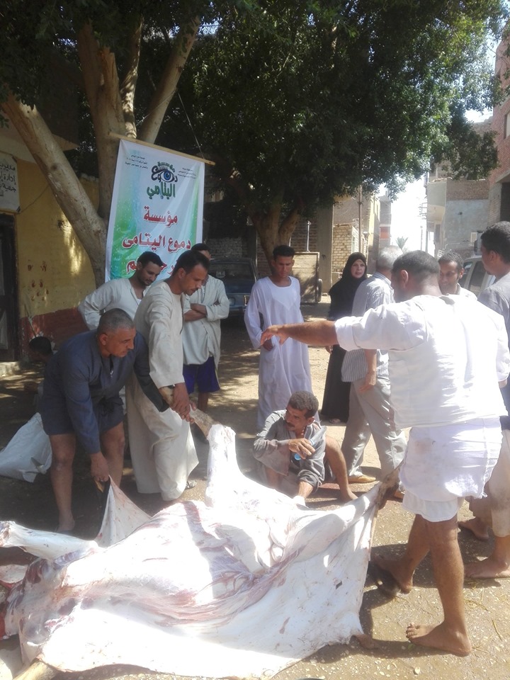 محافظات مصر تدعم الفقراء والأسر الإكثر إحتياجاً قبل العيد ضمن مبادرة حياة كريمة (12)