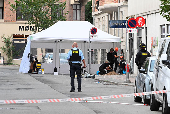 الشرطة الدنماركية فى موقع الحادث