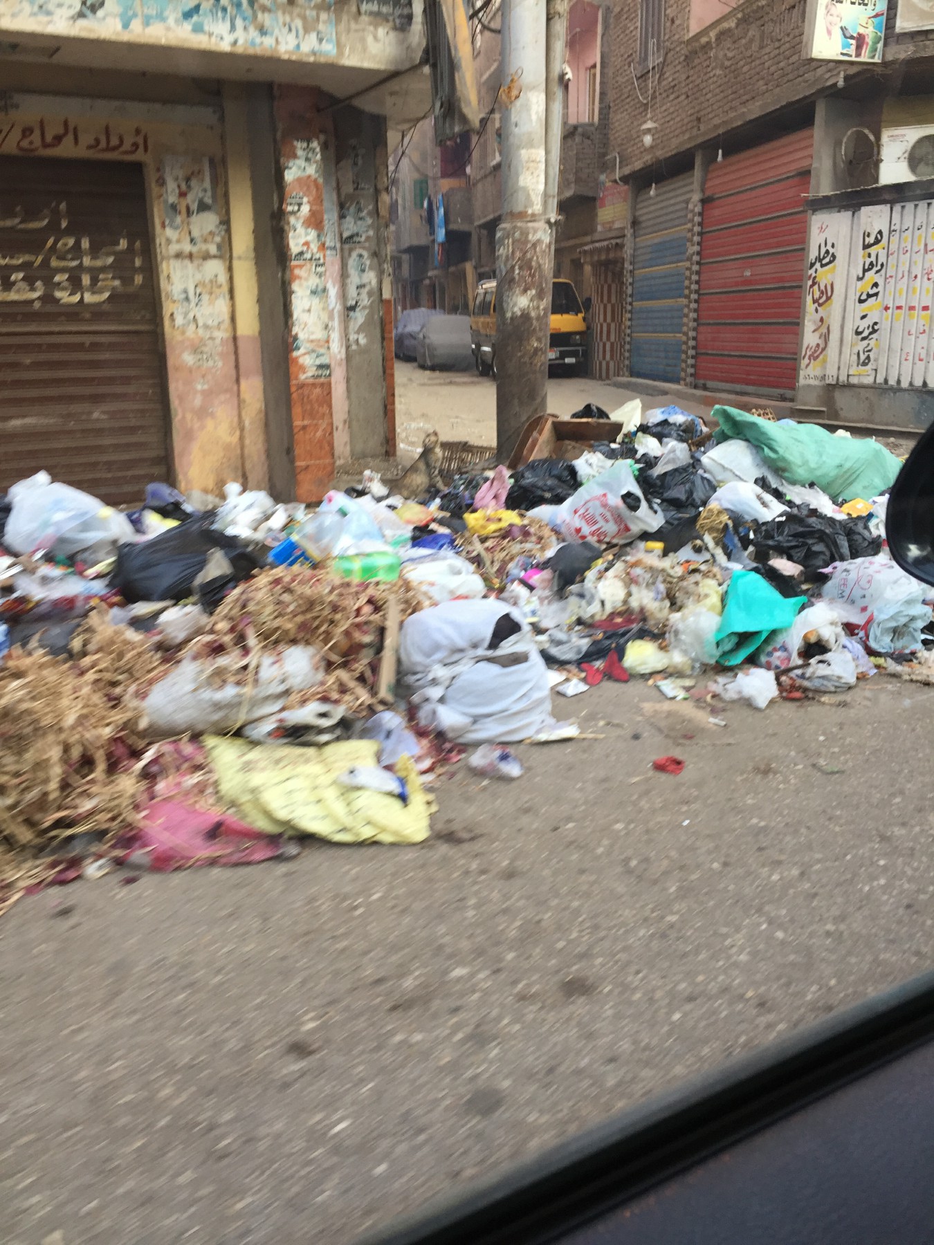 انتشار القمامة بشوارع الغربية فى أول أيام عيد الأضحى (5)