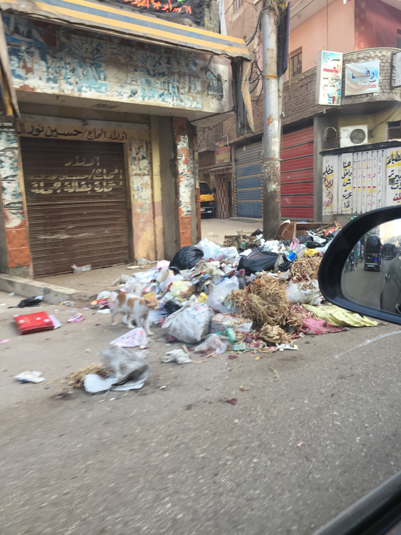 انتشار القمامة بشوارع الغربية فى أول أيام عيد الأضحى (4)