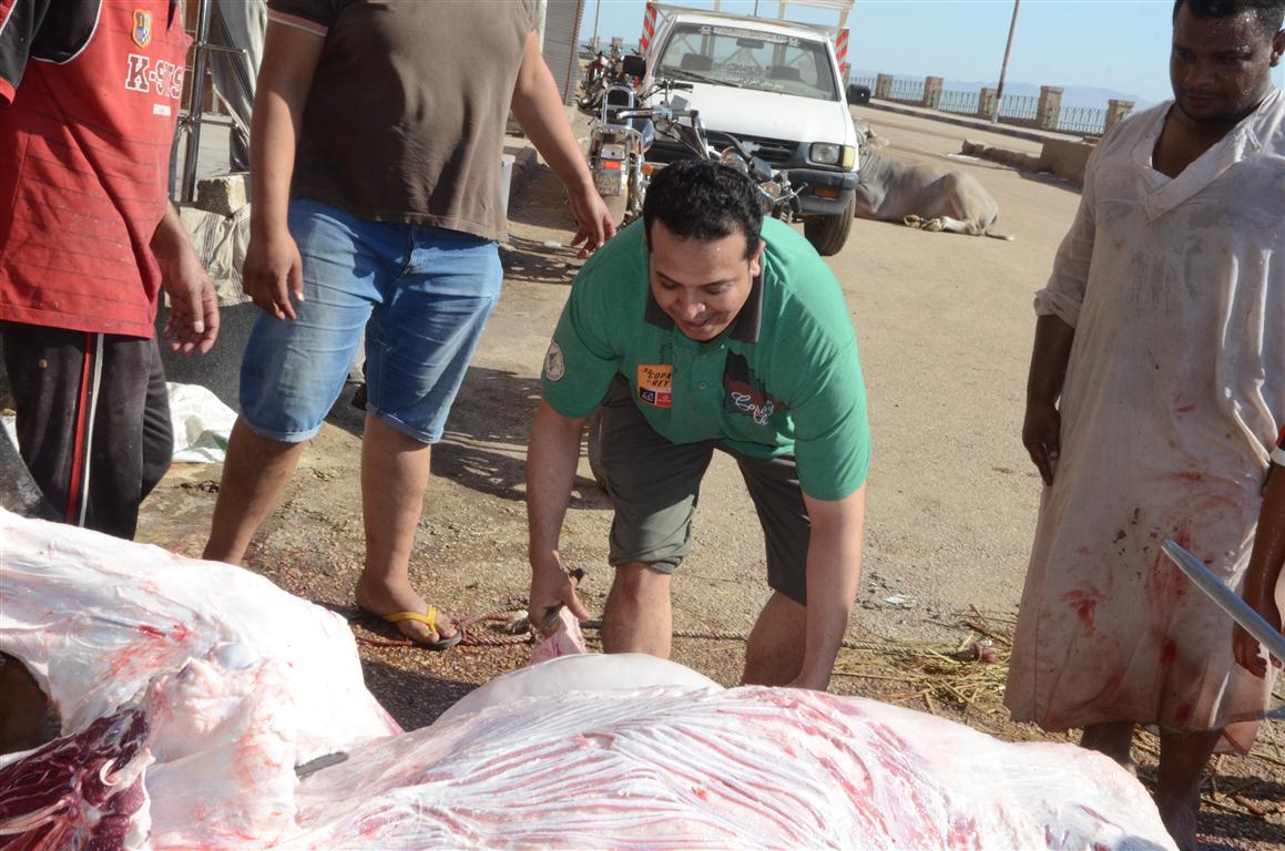 أهالي الأقصر يواصلون ذبح أضاحي العيد لليوم الثاني لتوزيع اللحوم علي الفقراء والأقارب (12)