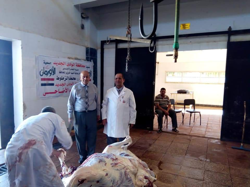 مجازر الوادى الجديد تواصل استقبال أضاحى المواطنين (6)