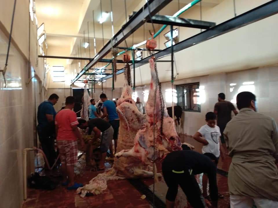 مجازر الوادى الجديد تواصل استقبال أضاحى المواطنين (4)