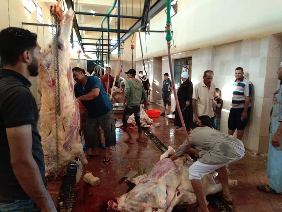 مجازر الوادى الجديد تواصل استقبال أضاحى المواطنين (1)