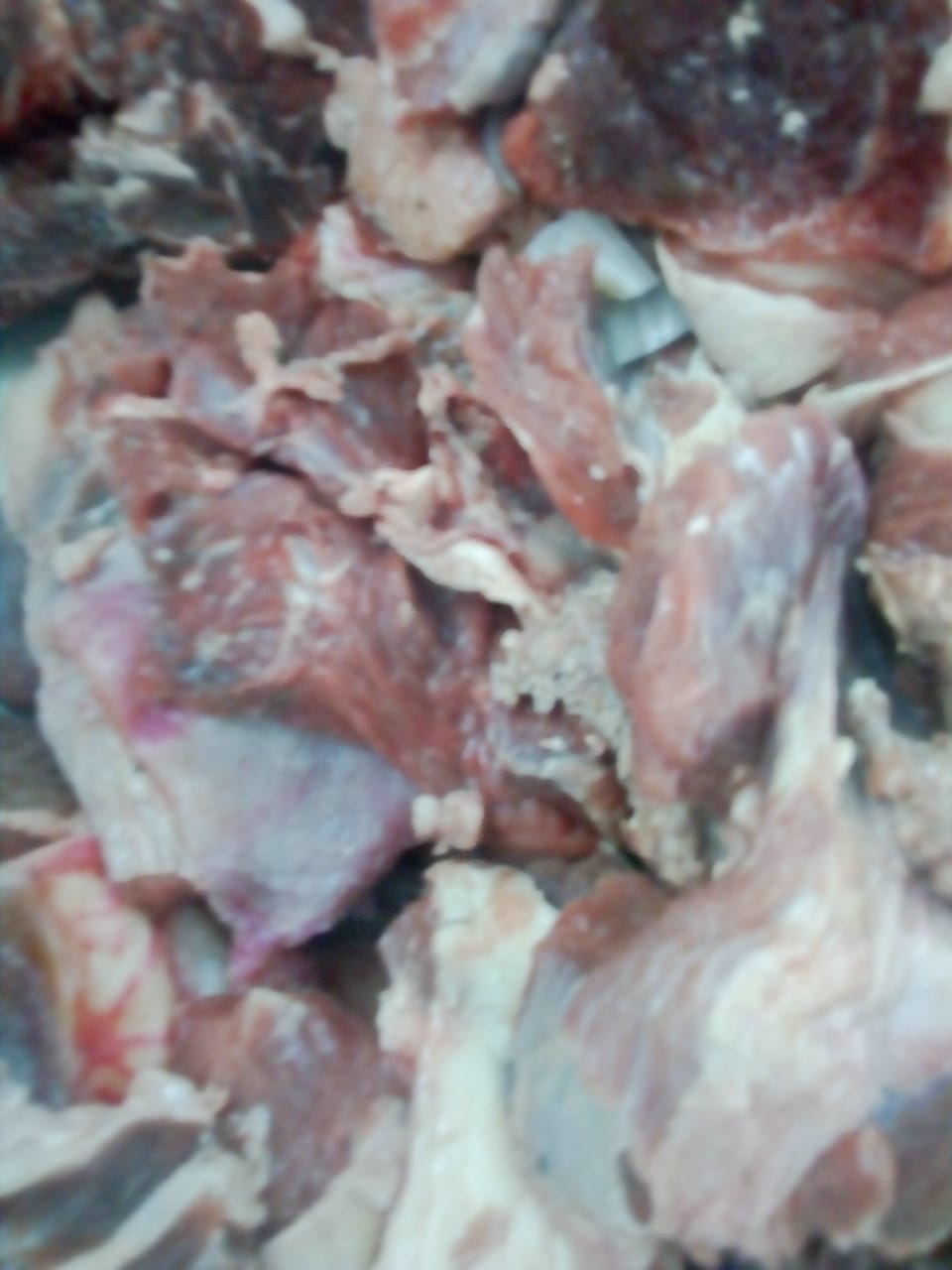 ضبط لحوم منتهية الصلاحية  (5)