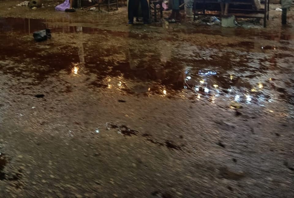 ذبح الأضاحى بالشوارع (7)