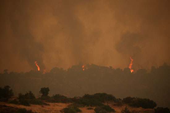 حرائق هائلة بغابات جزيرة إيفيا فى اليونان (1)