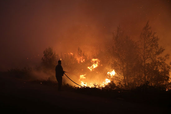 حرائق هائلة بغابات جزيرة إيفيا فى اليونان (5)