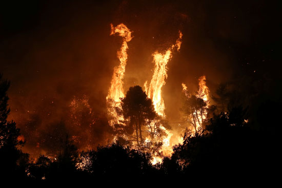 حرائق هائلة بغابات جزيرة إيفيا فى اليونان (9)