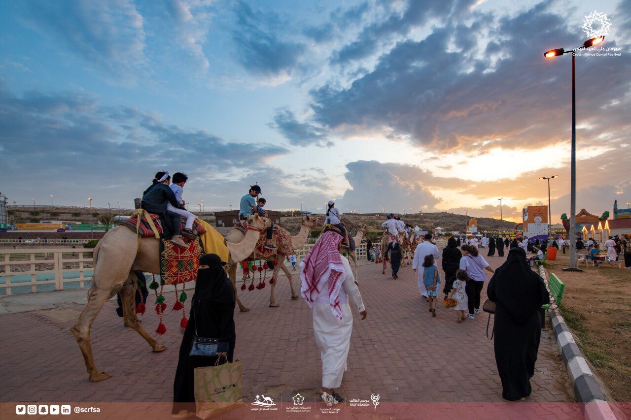 مهرجان الهجن بالسعودية (13)