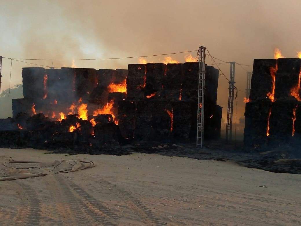 تجدد اشتعال حريق مزرعة شرق العوينات وتفحم 3 آلاف طن بالات برسيم (2)
