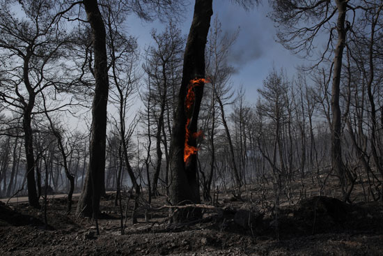 حرائق الغابات فى اليونان