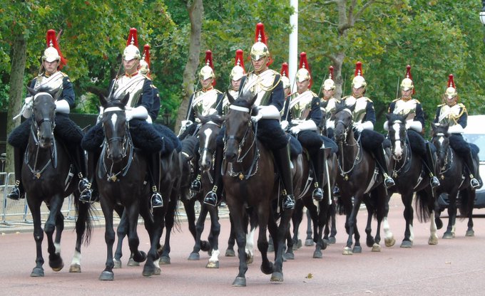 رجال القصر رجال القصر