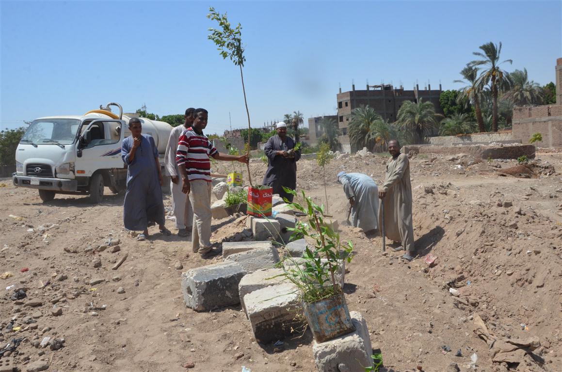 مدينة إسنا تبدأ إزالة التعديات والعشوائيات وزراعة 100 شجرة أمام مبني المستشفي  (1)