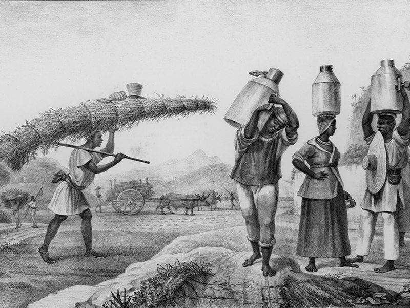 العبيد كانوا يستخدمون للعمل فى المزارع