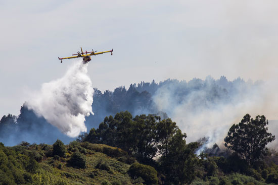طائرة إطفاء تحلق فوق النيران