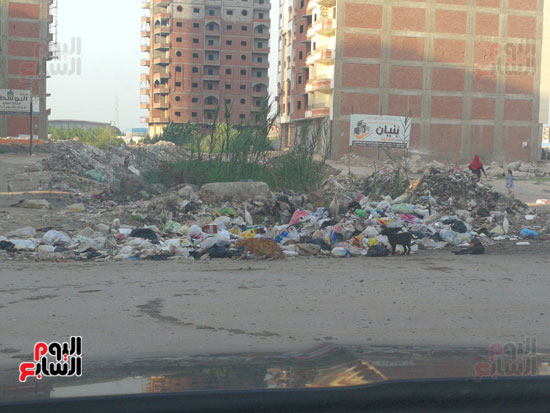 انتشار-القمامة-فى-الشوارع-بالمحله-(1)